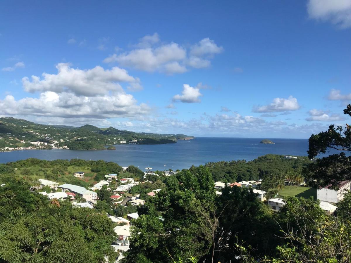 Top Hill Hostel- Martinique- Auberge Dortoir Ла Трините Екстериор снимка